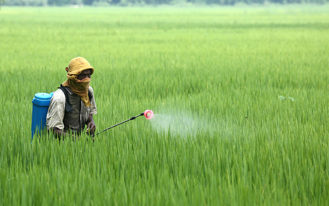 आजका तस्बिर- भदौ २८