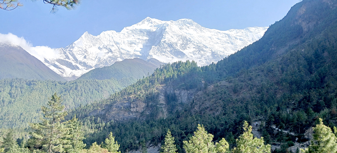 आजका तस्बिर- जेठ २९