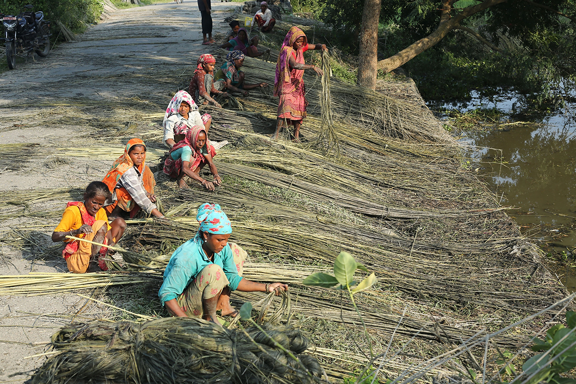 आजका तस्बिर- असोज २४