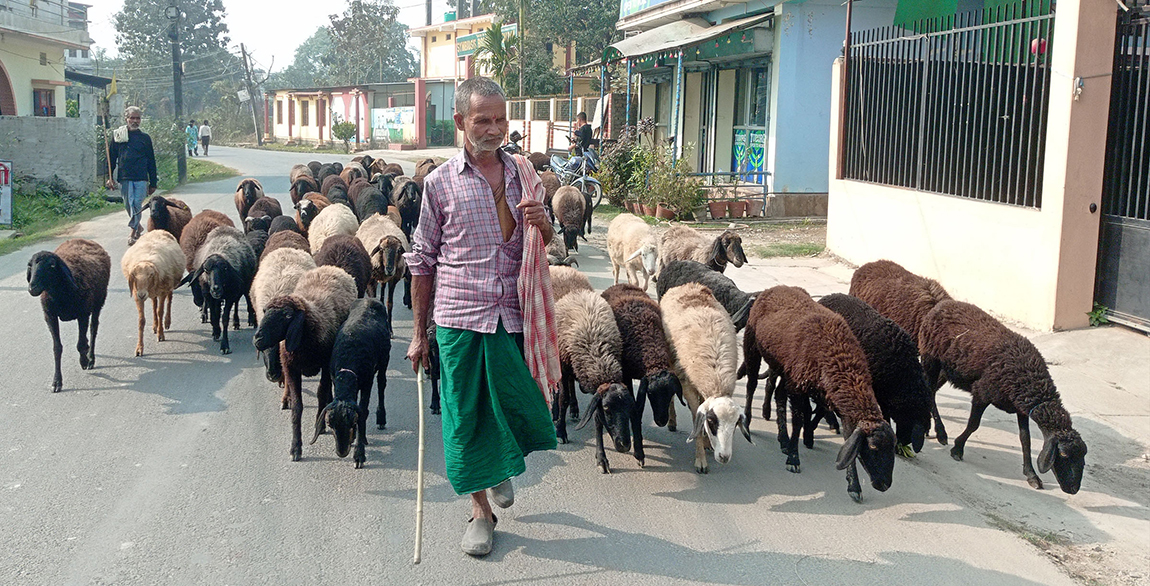 आजका तस्बिर- फागुन ३