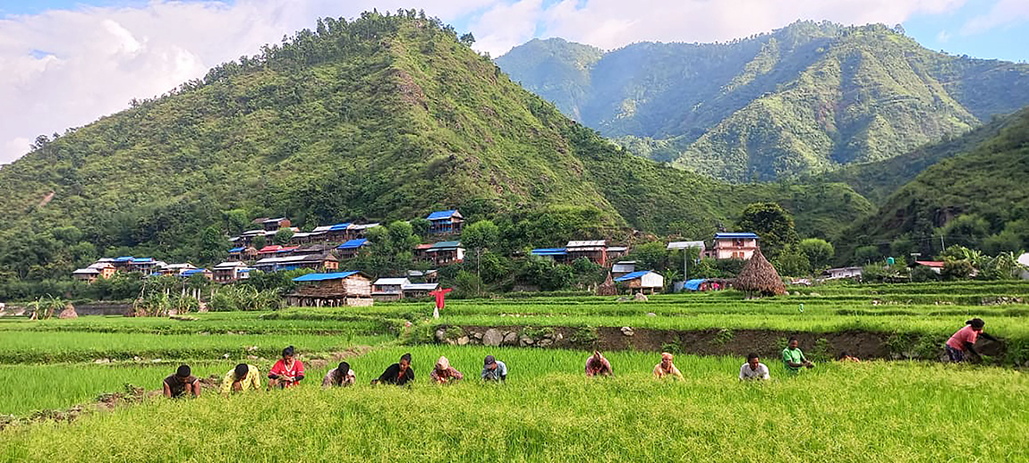 आजका तस्बिर- साउन १७