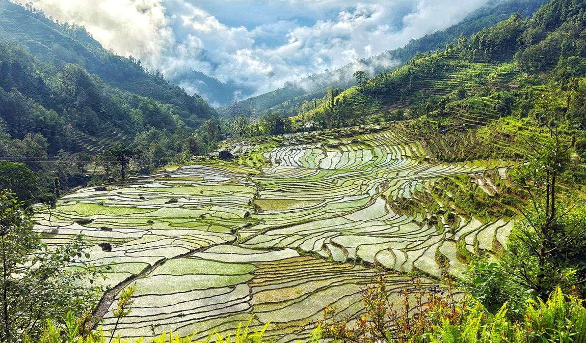 आजका तस्बिर- असार ८