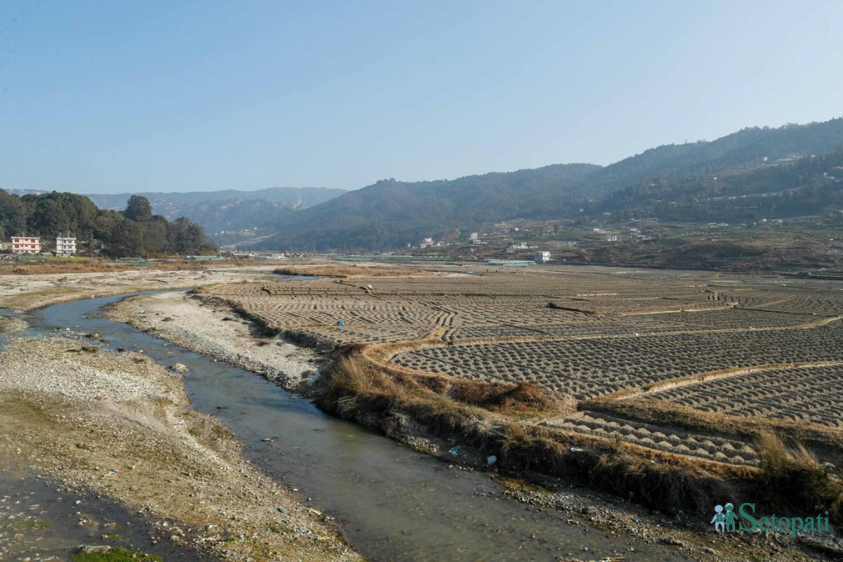 Potato-Farming,-Photo-Nepal-Photo-Library.11-ink-1736576677.jpeg