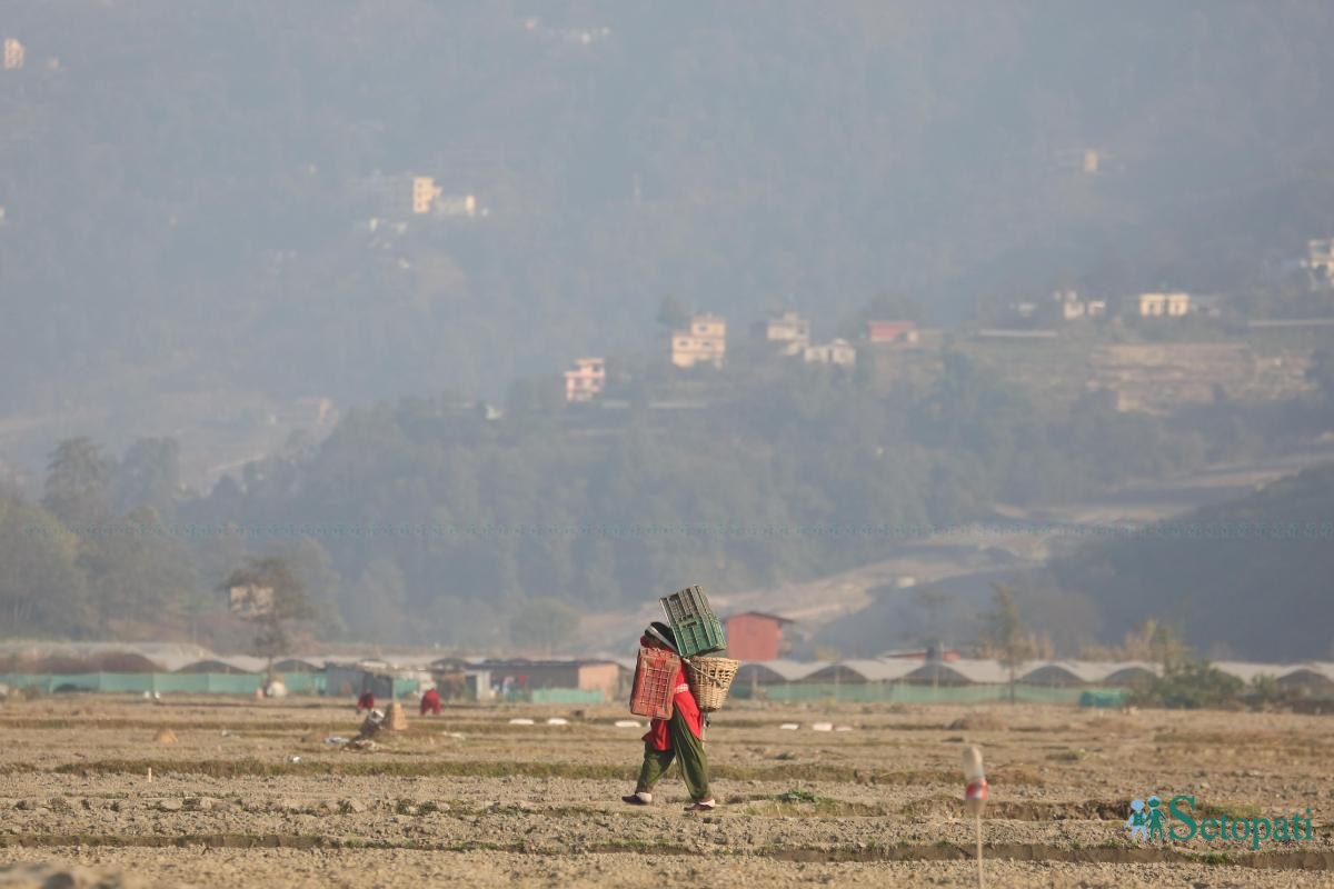 Potato-Farming,-Photo-Nepal-Photo-Library.14-ink-1736576678.jpeg