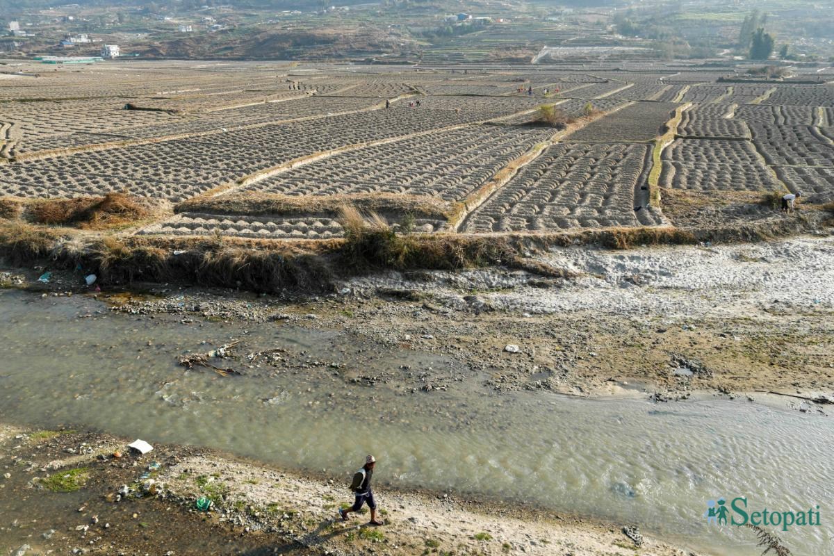 Potato-Farming,-Photo-Nepal-Photo-Library.4-ink-1736576663.jpeg