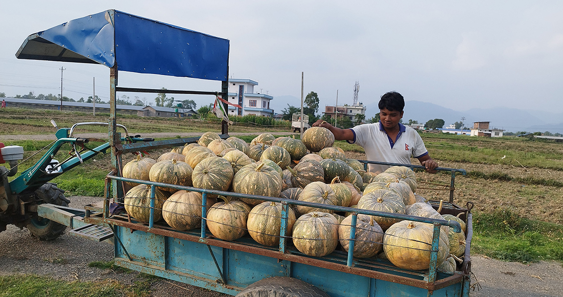 आजका तस्बिर- जेठ २७