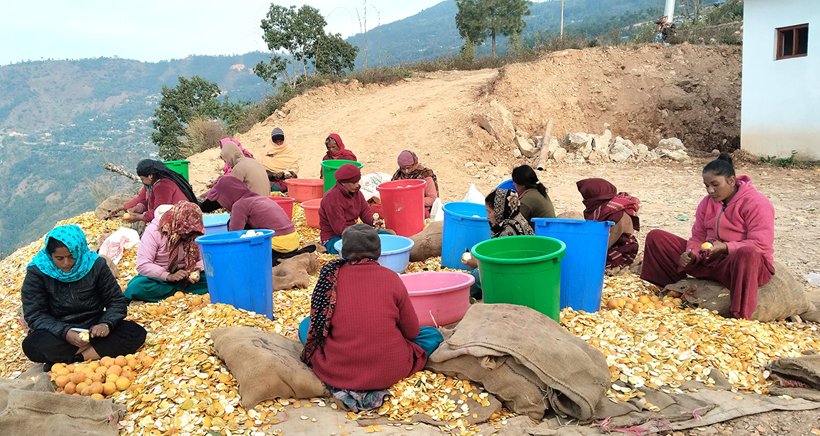 आजका तस्बिर- मंसिर २३