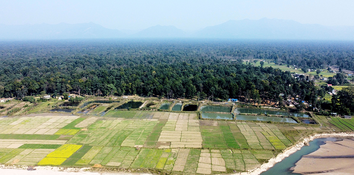 आजका तस्बिर- माघ ८