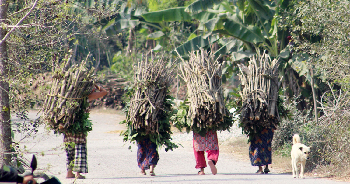आजका तस्बिर- फागुन २०