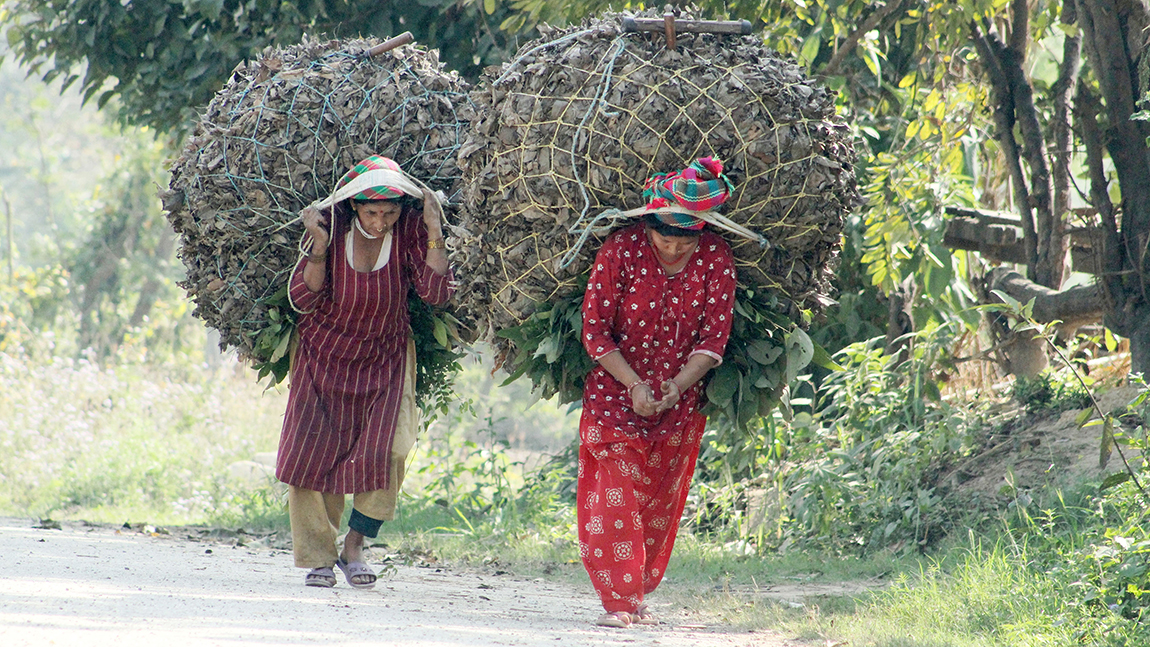 आजका तस्बिर- चैत १