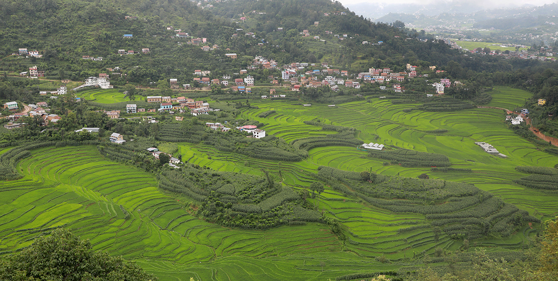 आजका तस्बिर: साउन २७