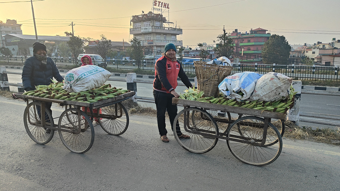 आजका तस्बिर- मंसिर २०