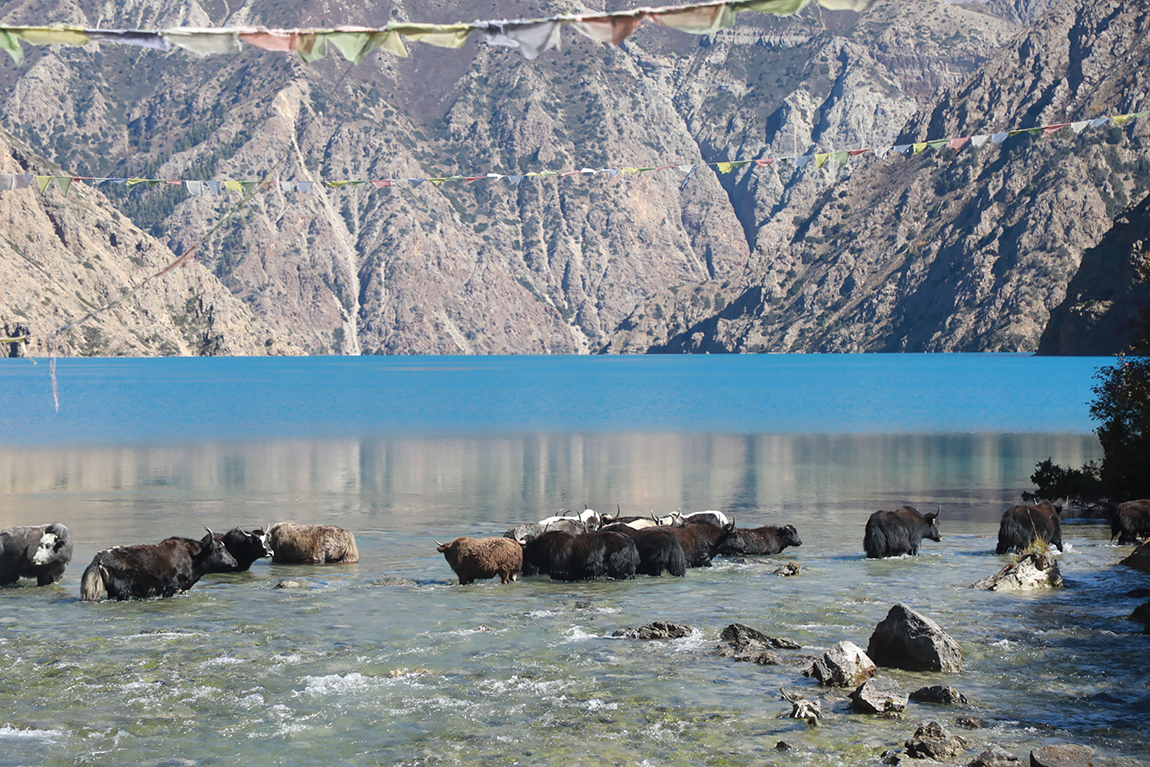 आजका तस्बिर- असोज २९