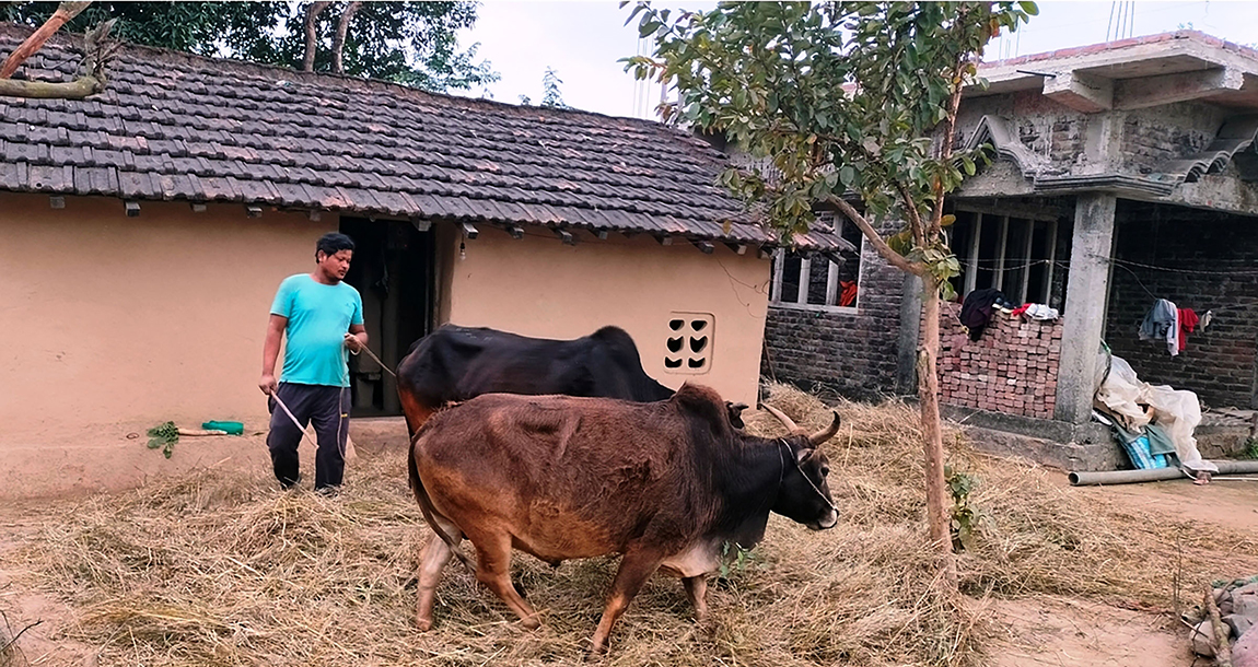 आजका तस्बिर- फागुन ३