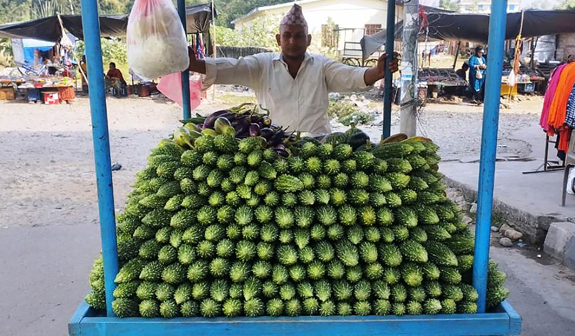 आजका तस्बिर- कात्तिक १०