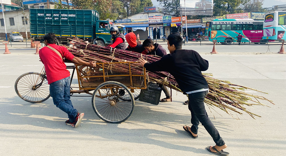 आजका तस्बिर- फागुन १४