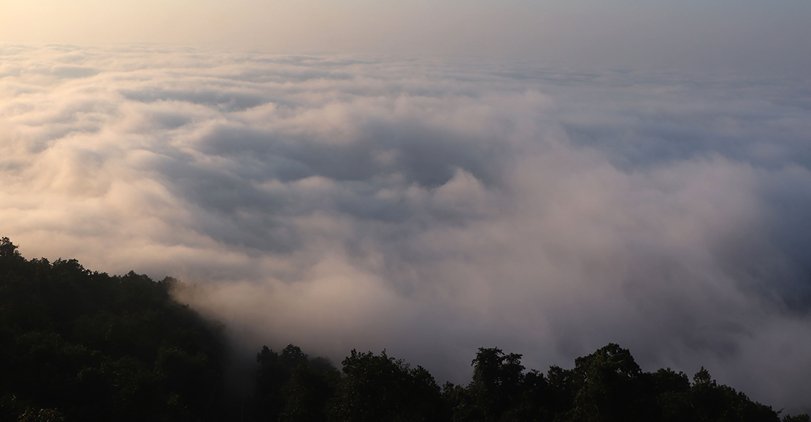 आजका तस्बिर- कात्तिक २२