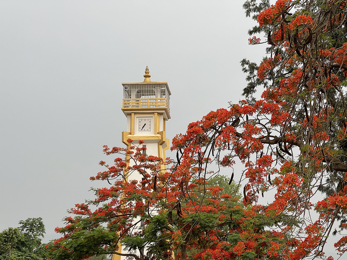 आजका तस्बिर- वैशाख २६