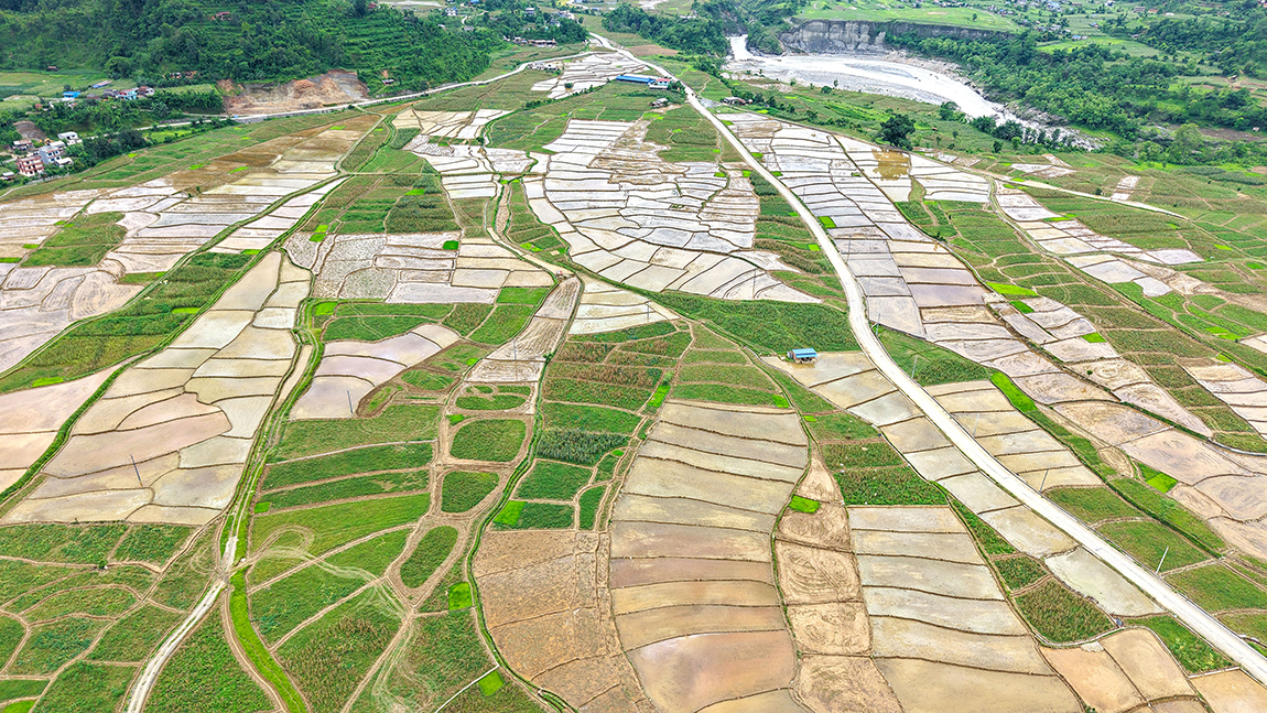 आजका तस्बिर- असार १२