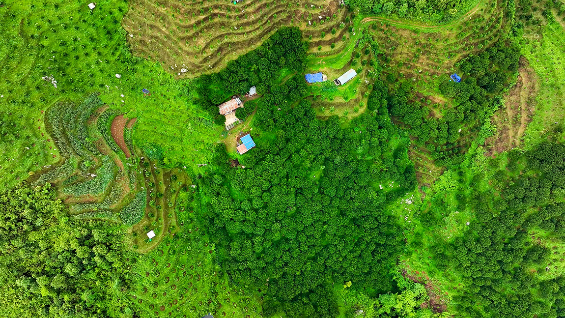 आजका तस्बिर- जेठ १०