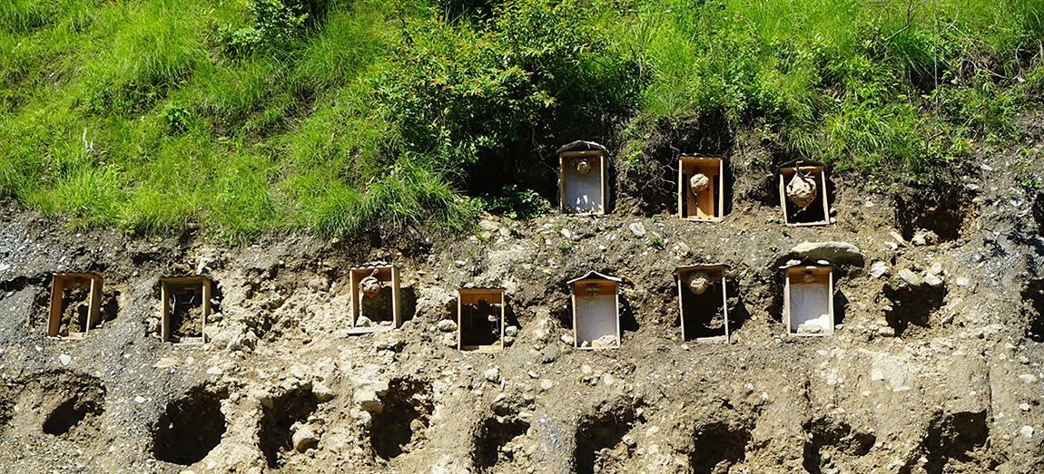 आजका तस्बिर- असार १३