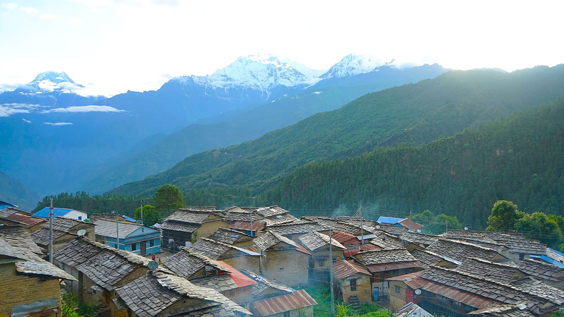 आजका तस्बिर- असार २६