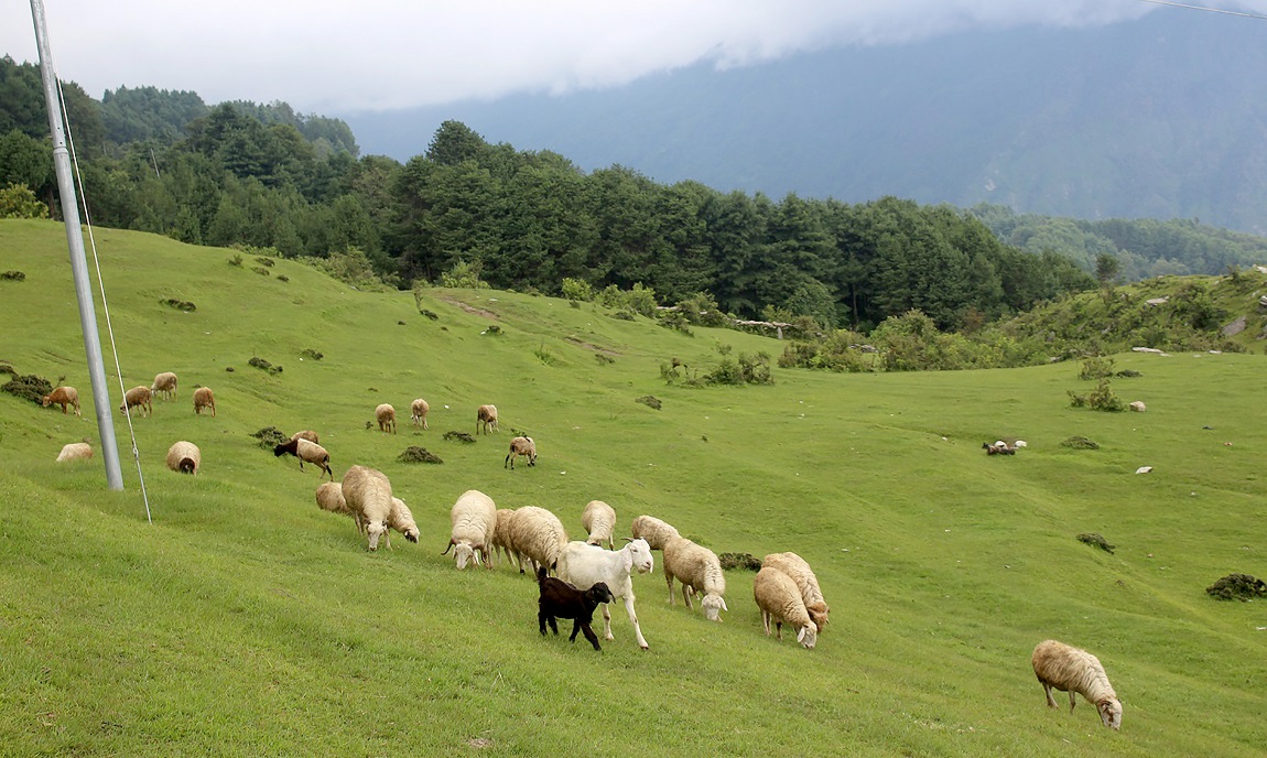 आजका तस्बिर: साउन ६