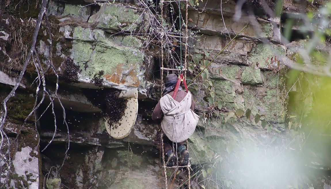 आजका तस्बिर- जेठ १९