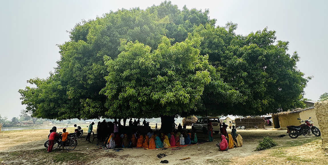 आजका तस्बिर-वैशाख १०