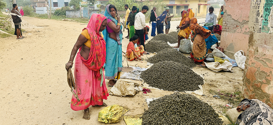 आजका तस्बिर- कात्तिक २९