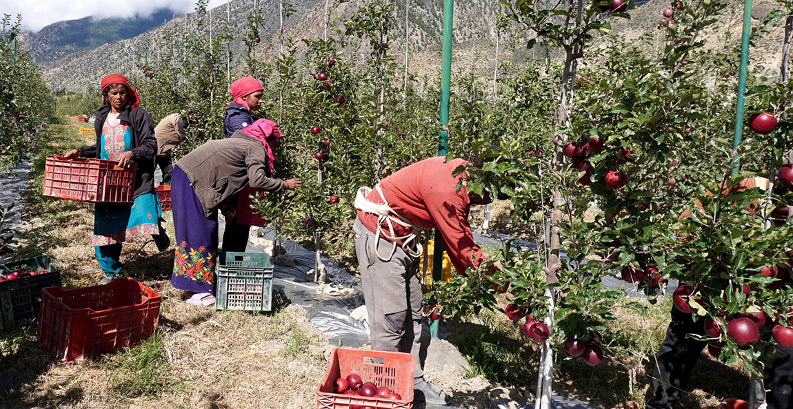 आजका तस्बिर-भदौ ४