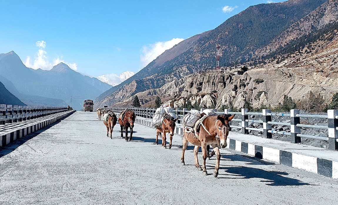 आजका तस्बिर- फागुन २५