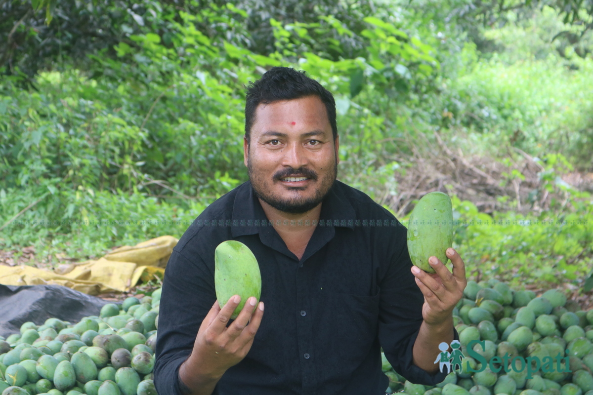 शंकर नेपाली