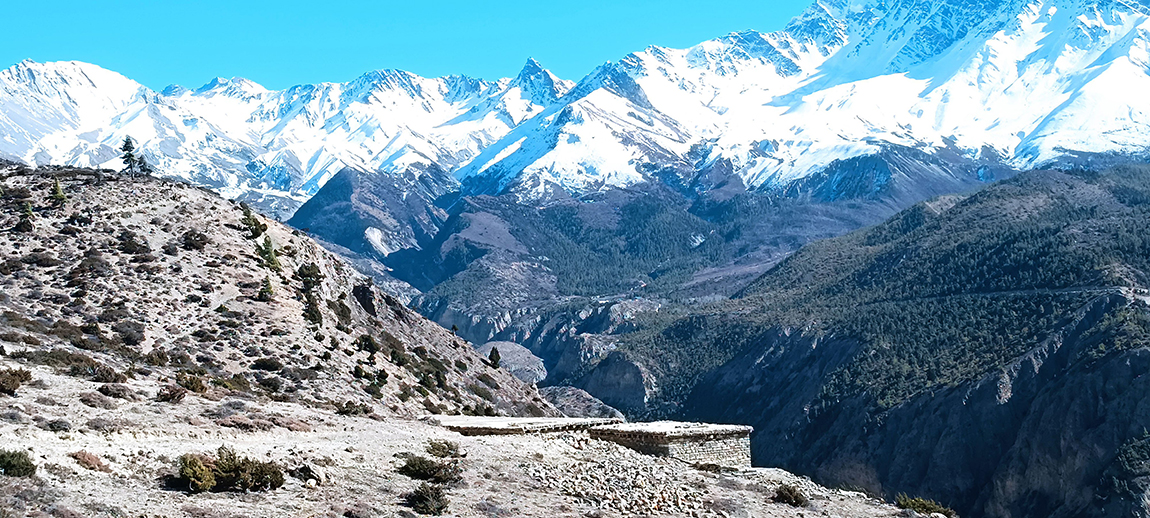 आजका तस्बिर- पुस ८