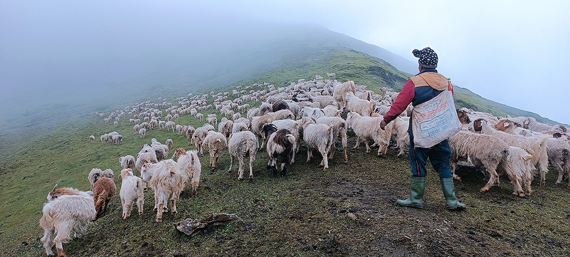 आजका तस्बिर- भदौ १७
