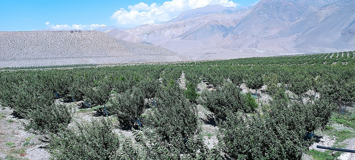 आजका तस्बिर- असार ४