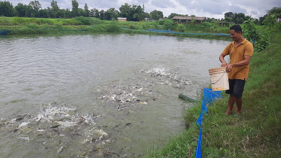 आजका तस्बिर- भदौ ६