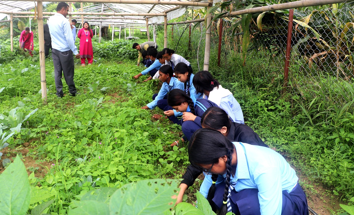 आजका तस्बिर- भदौ १५