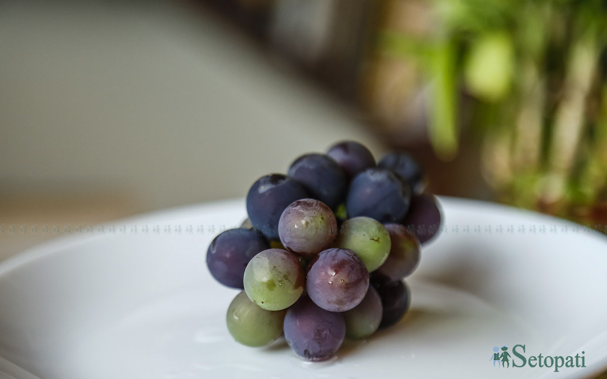 angur-grapes2-1723485417.jpg