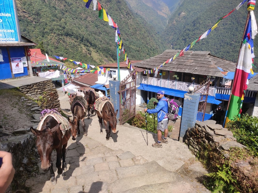 annapurna-padyatra1-(16)-1732964643.jpg