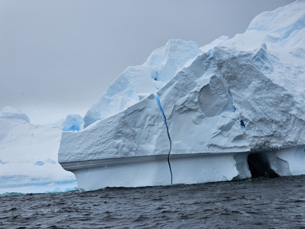 antarctica-(11)-1733556683.jpeg