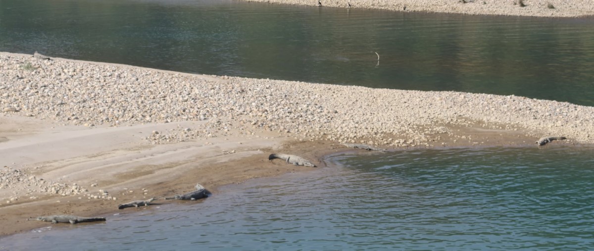 बबई नदीमा नुहाउन गएका दुई किशोरी बगेर बेपत्ता