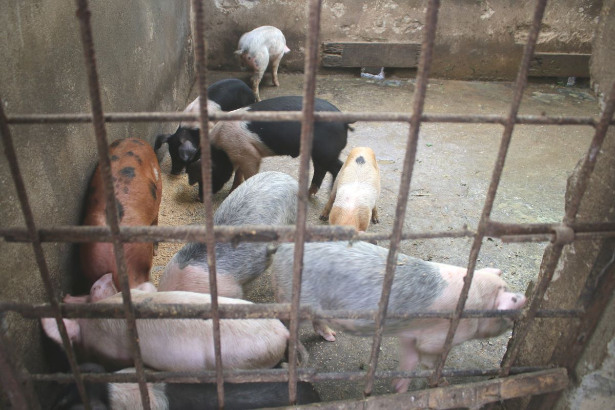 फ‍ाइल तस्बिर।