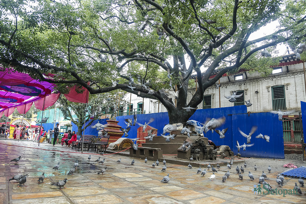 bhadrakali-mandir-punanirman-(11)-1720701061.jpg