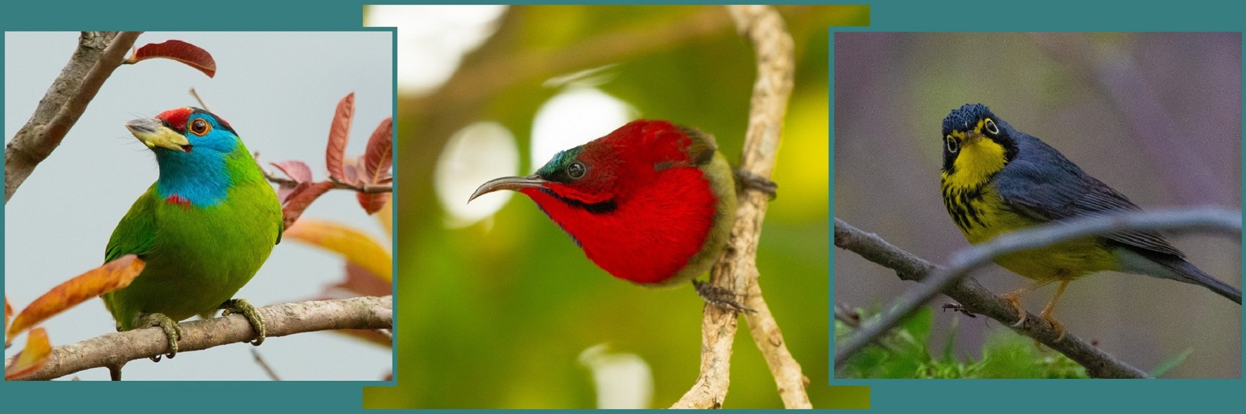 तस्बिरः अनुज घिमिरे