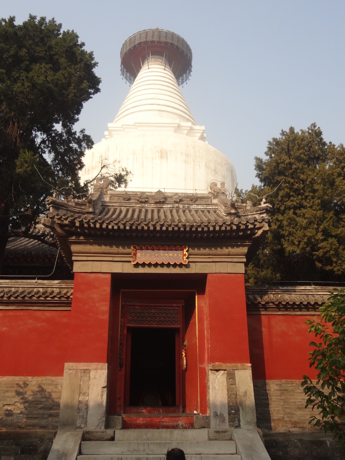 chetnath-acharya-beijing2-1722965598.JPG