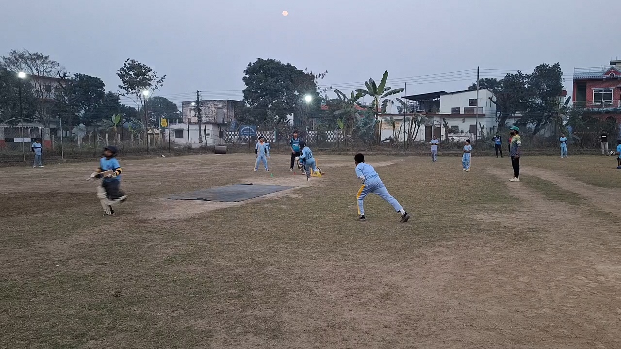 cricket-(1)-1740550064.jpg