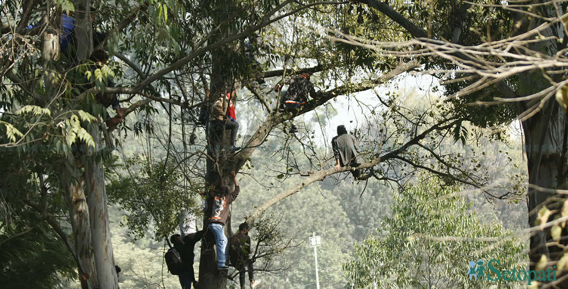 आजका तस्बिर- मंसिर १५