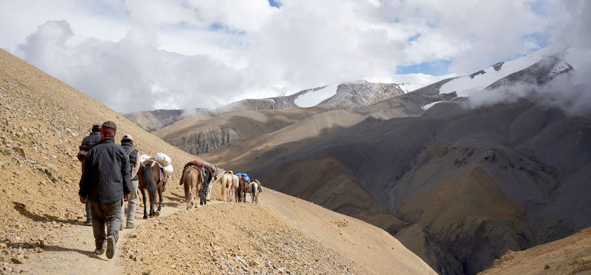 आजका तस्बिर- भदौ २३