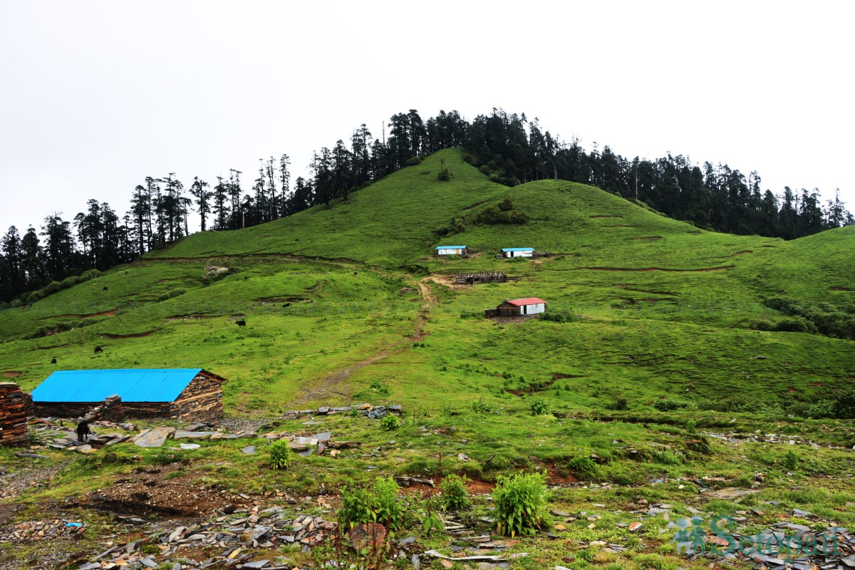 dolakha-(1)-1722060835.jpg